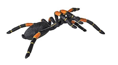 Safari Ltd Hidden Kingdom – Orange-Kneed Tarantula – Realistic Hand Painted Toy Figurine For Ages 3 And Up – Large #TOP2