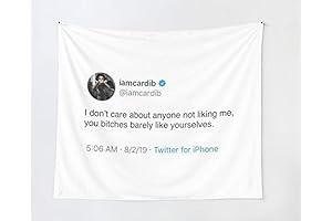 2BUT I don't care about anyone liking me, You bitches barely like...