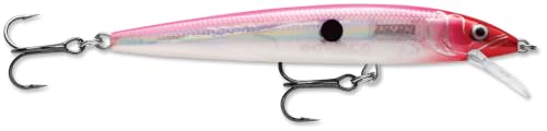 Rapala Husky Jerk 10 Fishing Lure (Glass Pink Clown), 4-Inch