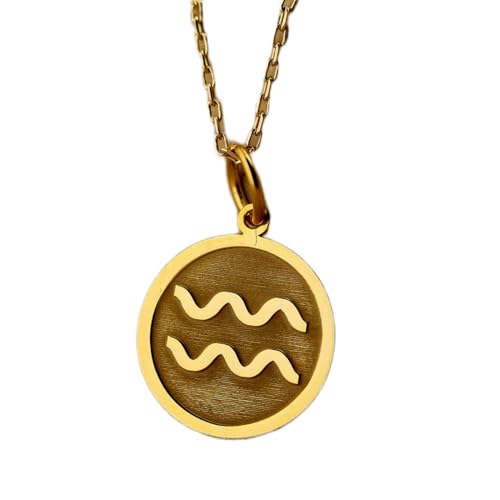 Collier Verseau pendentif zodiaque 24 mm argent plaqué or chaîne 45 cm