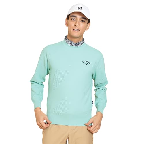 [LEFC] Y N[lbNjbg (|CgS) / St / C25118100 1130_CgO[ L