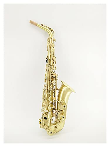 vtFbViTbNX E-Flat Alto Saxophone/Ǌy ubVhTbNX SҁAqAɓKĂ܂ ^JTbNX S҃Lbg