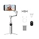 Insta360 Flow 2 Pro Vlog Bundle Grau - Faltbarer AI Phone Gimbal, Tracking in 200+ Apps mit Apple DockKit, 360º-Pan-Tracking, integr. Stativ/Selfie-Stick, Fernbedienung, Spotlight/Rucksackhalterung