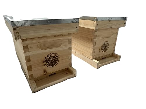 5 Frame NUC Beehive kit (2 Five Frame nucs)