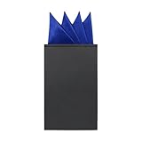 GHTIYLP Prefolded Pocket Squares for Men Solid Color Pre-folded Mens Handkerchief Suit Pocket Square for Business Wedding (Royal Blue Mountain)