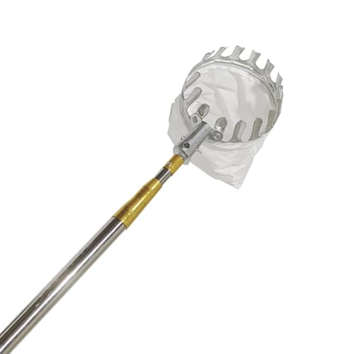 t[csbJ[ tLknht \ȃt[csbLOc[ pIȎn⏕ `AAA񂲁A~A}S[AxCx[p XeX|ŗhɂό`ɂߓEݎ (1.5[gi3mbgj)