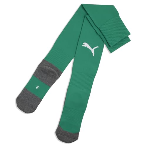 PUMA teamLIGA26 Socks Core