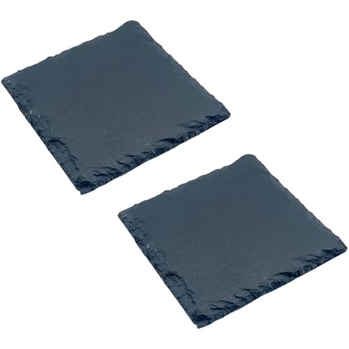 FJmark 爬虫類 亀 カメ 乾燥 床材 プレート 餌置き フードプレート 爪磨き 保温 保湿 (20×20cm) 2枚セット