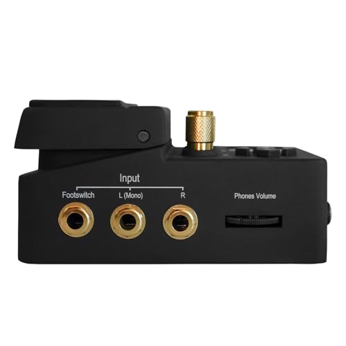 Image of Singular Sound BeatBuddy 10th Anniversary Edition Drum Machine Pedal