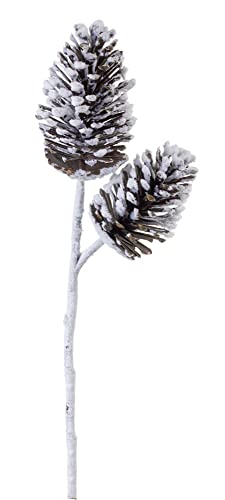 Pine Cone Spray 28