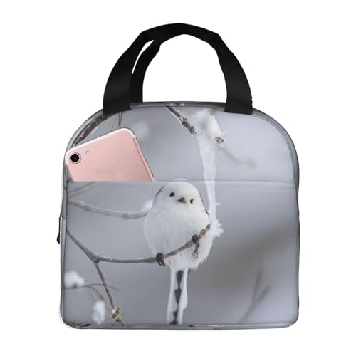 `obO V}GiK  ۗ ۉ ٓobO  RpNg O|Pbgt ~jg[gobO p肳obO fB[X Y ʋ ʊw s fB[X Y qp