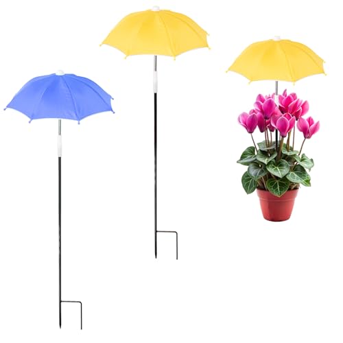 QoTang 2 paraguas para plantas, paraguas pequeño para plantas, protección de plantas, paraguas para lluvia, para jardín, patio, parterres, patios, diámetro de 27 cm