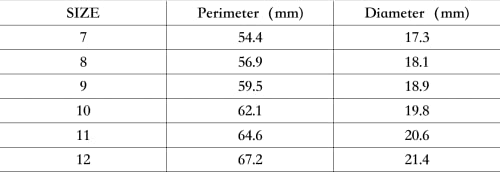 TASHILONG Emerald Stone Men Silver Ring 925 Silvering Emerald Gemstone Ring Handmade Engraved Turkish Silver Ring with Emerald Stone