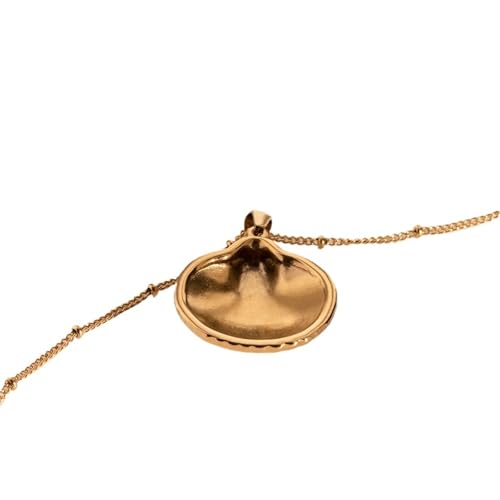 Collier coquillage escargot en acier inoxydable aux finitions miroir - 3