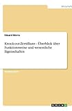Knock-out-Zertifikate - Überblick über Funktionsweise und wesentliche Eigenschaften