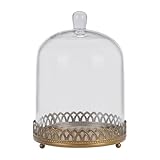 Twakutwaku 12' Tall Large Sturdy Handmade Glass Cloche Dome with Metal Base in Gold for Plant, Terrarium, Collectibles, Candle. Cloche Glass Dome, Bell Jar Display Case (Metal Base, 11')