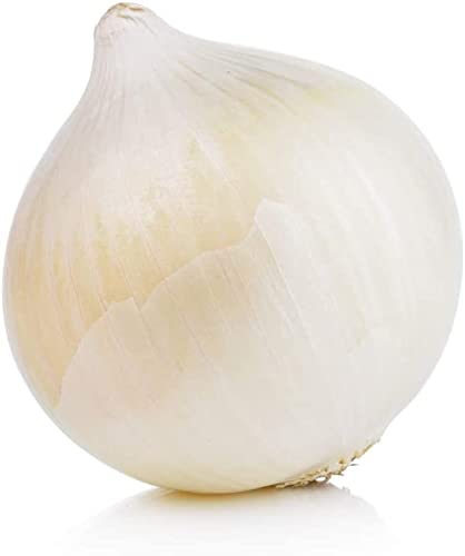 Tim Tim Agro White Sweet Spanish Onion Seeds, 500g Heirloom Seeds Per Packet, Non GMO Seeds, Botanical Name: Allium cepa, Tim Tim Agro (B09MWLSD62) Amazon Price History, Amazon Price Tracker