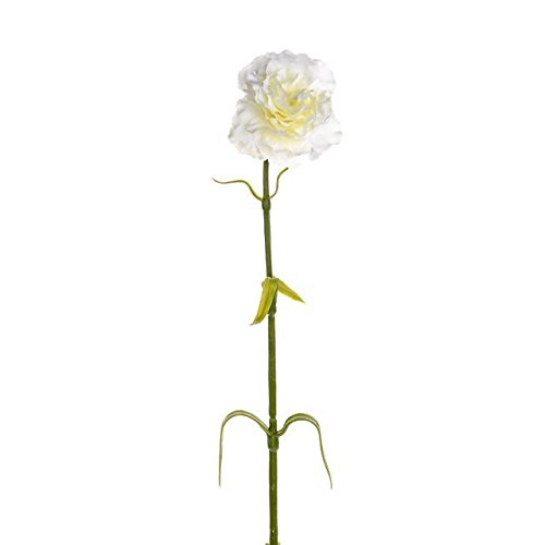 CB ImportsArtificial Carnation Ivory, White