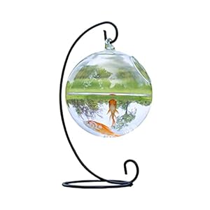 ZHANGJINYISHOP2016 Vis Tank Creatief Hangend Glas Kleine Vis Tank Hydrocultuur Transparant Glas Vaas Woonkamer Kantoor…