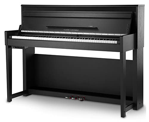 Funzioni transpose, 3 pedali (Soft, sostenuto, sordina), 22 effetti (riverbero, coro) 9 effetti microfono (riverbero, delay, distorsione etc.), display OLED