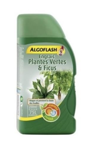 ENGRAIS PLANTES VERTES & FICUS 250ML - ALGOFLASH