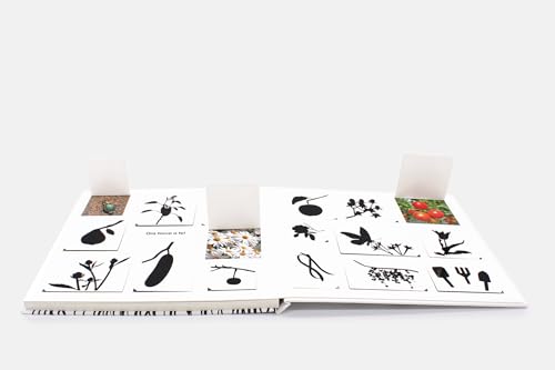 Il Piccolo Mondo Del Giardino. Fiori, Frutti E Animaletti.... Ediz. Illustrata - 5