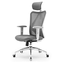 SIHOO M18 Ergonomic Office Chair, Computer Desk Chair with Adjustable Headrest and Lumbar Support, High Back Executive Swivel Chair for Home Office (Grey)