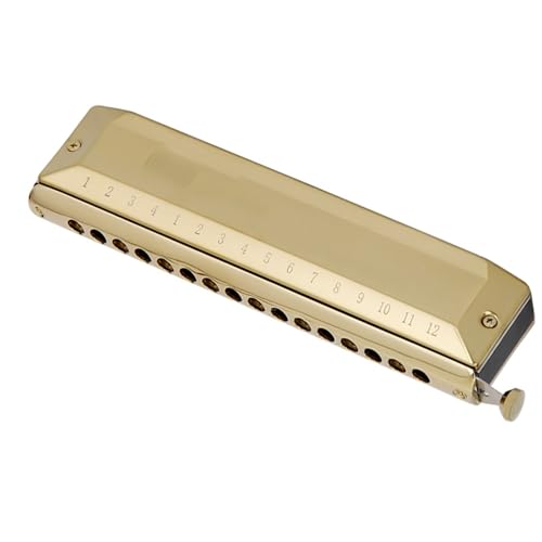 n[jJ 16  C L[N}`bNn[jJŷS[hXeX|Jo[