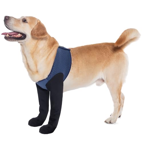 COODEO Hundesocken gegen Pfotenlecken | Wasserfeste Pfotenschutzstiefel mit rutschfesten Sohlen zur Wundheilung & Hautschutz (Blau, M)