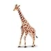 Toymany 4PCS Realistic Giraffe Figurines with Giraffe Cub, 2-6