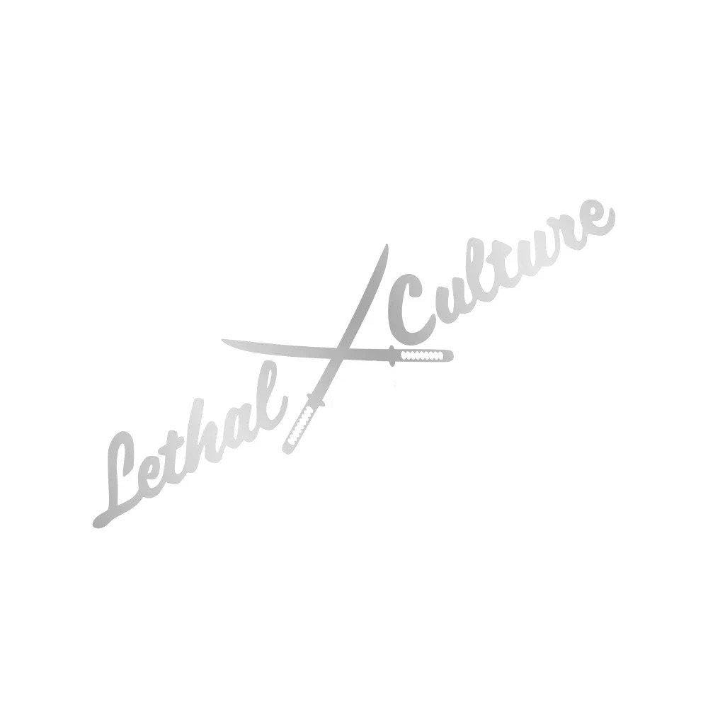 Windshield Sticker Auto Window Side Body Decoration Vinyl Decor Decal(Matt Silver,50x11cm)