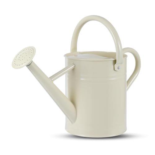 1 Gallon Watering Can for Plants Watering Cans for Indoor&Outdoor Gardening Galvanized Steel Watering Pot with Removable Spout Metal Water Can with Ergonomic Movable Handle(White)