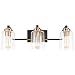 SOLFART 3 Head Vintage Bath Vanity Light Wall Decor Bathroom Over Mirror Modern Glass Shade Light Fixtures (3 Lights-Exclude Bulb)