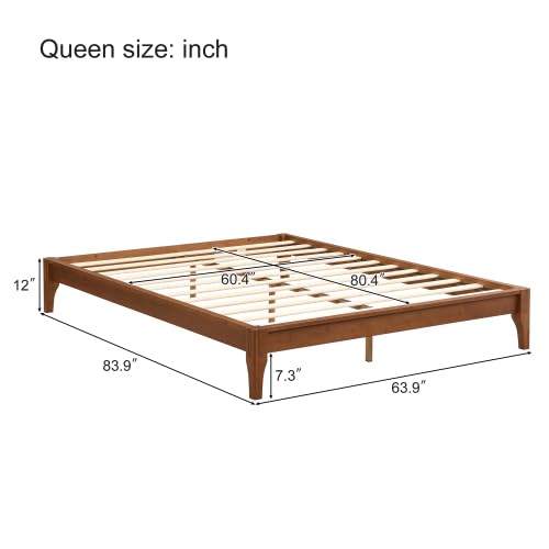 https://m.media-amazon.com/images/I/31p8hpkbQeL.jpg