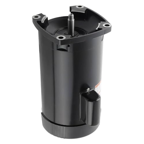 230V 10A B2855 Motor de Bomba de Piscina de una Sola Velocidad Compatible con Bombas de Piscina estándar 2 Paquete