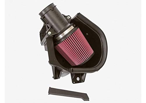 Roush 420131 Cold Air Intake Kit (4.6L & 5.0L V8), 1 Pack