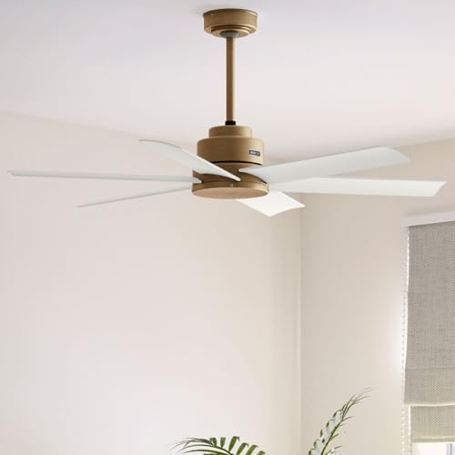 Image of Hunter 52 inch Kennicott Indoor /Outdoor Ceiling Fan, Wall Control, Luxe Gold