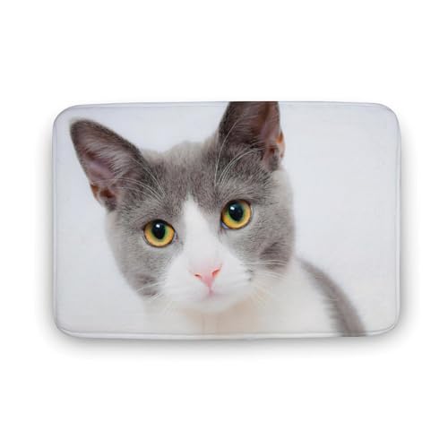 L   oX}bg z/唻 փ}bg  O    ~ Aj LN^[ @}bg   ʏ