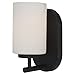 Sea Gull Lighting 41160BLE-839 Oslo 1 Light Wall Sconce with Bulb Type 13-watt GU24 Self Ballasted Fluorescent, Blacksmith