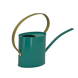 Europese Stijl Ijzeren Tuinieren Slanke Uitloop Gieter, Huis Balkon Plant Kleur Water Geven Pot, Draagbare Tuin Emmer…