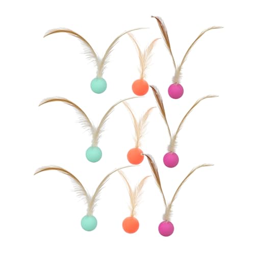 NOLITOY 9pC^ eBu     ߂ p LeB