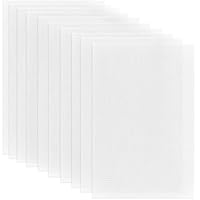 craspire 10 Stück Fursuit Eye Mesh 11.81x7.87 Zoll Weißes PVC Kunststoffnetz 0.5mm Loch Wasserdichtes Bedruckbares Mesh Für Furries Cosplay DIY Craft Prop Making Skulptur Home Decor