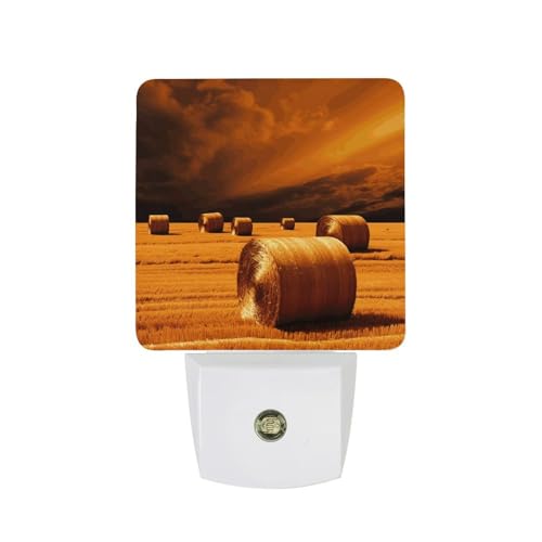 VTCTOASY Hay Bales Plug-in Night Light
