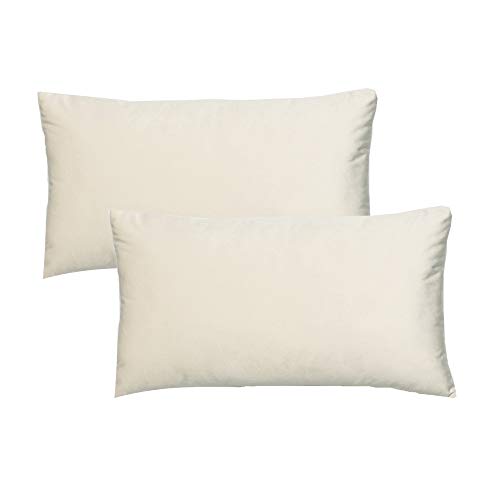 VAKADO Beige Lumbar Velvet Soft Solid Throw Pillow Cases Decorative Rectangle Cozy Cushion Covers Home Decor for Living Room Couch Sofa Car 12"x20" Set of 2