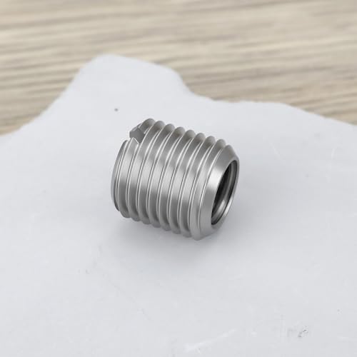 Briny River Gewindeadapter aus 304 Edelstahl, M12 x 1,25 Stecker auf M8 x 1,25 Buchse, Schlitz-Reduzierstück für Motorrad, Auto, 20 Stück