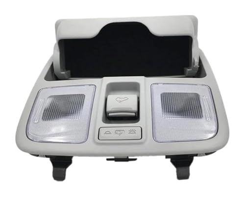 Lámpara de techo para Hyundai IX35 2010 ideal para viajes nocturnos y lectura en coche