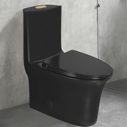 WinZo WZ5020BG Elongated One Piece Toilet Dual Flush 1.1/1.6 GPF Standard Height for Modern Bathroom,Matte Black with Glossy Gold Push Button