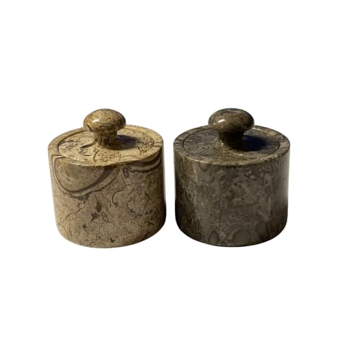 TheWolfard Marble Salt Cellar Keep Spices Fresh Seasoning Holder for Herbs Sugar Salt Keeper With Handmade Lid Knob Like Mushroom Best 3-Inch Marble Dish (Fossil and Coral)