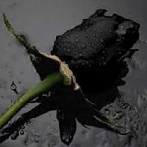 EP. 3 - A NEW DAY, A NEW NIGHTMARE!