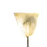 Bio Green Winterschutz Kübelpflanzensack, beige, stark , S 80 x 60 cm